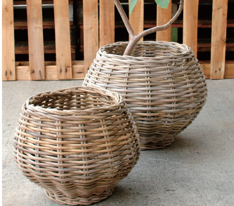 rattan