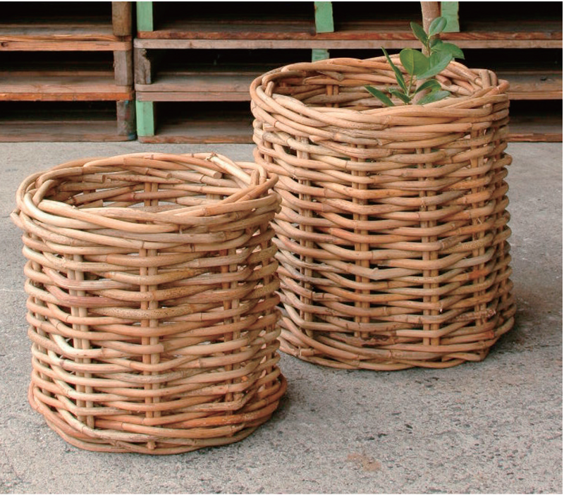 rattan