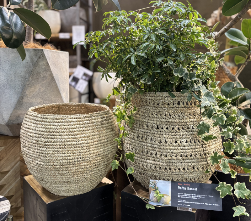 raffia